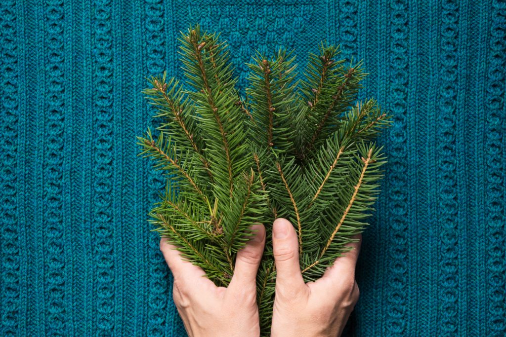 Female hands hold branches of fir tree on a blue knitted background.